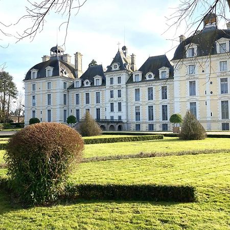 Вилла Family Loft A 5Minutes Du Zooparc De Beauval Chateauvieux  Экстерьер фото